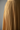 Golden Camel - Detail